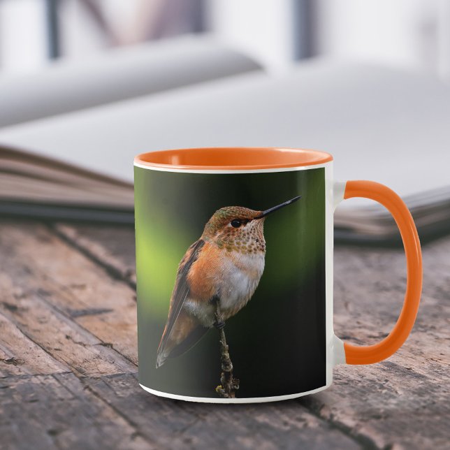 Mug Adorable colibri roux à la branche (Cute Rufous Hummingbird on Hybrid Fruit Tree Branch 11 oz Coffee Mug Cover Photo 2.)