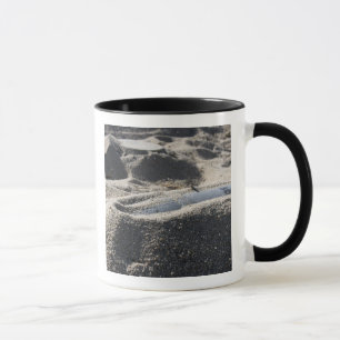Mug Affichage statique d'une coque de commande