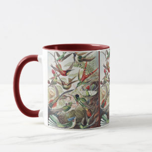 Mug Affiche vintage colorée d'Ernst Haeckel sur les co