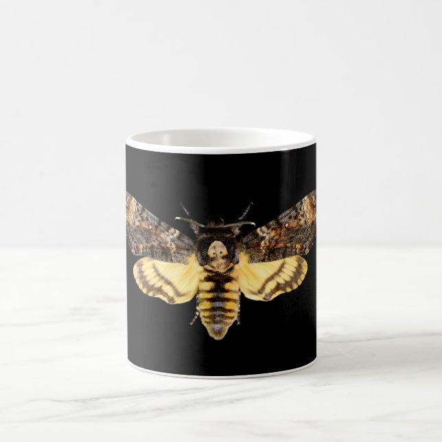 Mug african death head moth butterfly insect Acheronti (Centre)