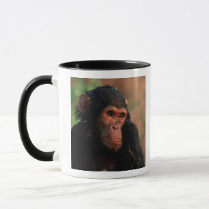 Mug Afrique, Afrique orientale, Tanzanie