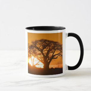 Mug Afrique, Botswana, Coucher de soleil silhouette Ba