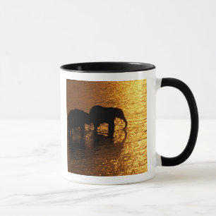 Mug Afrique, Botswana, Delta de l'Okavango. Africains