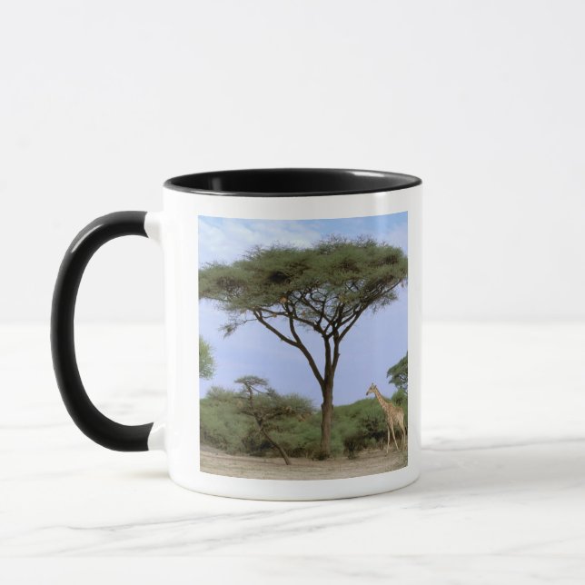 Mug Afrique, Botswana, delta de l'Okavango. Sud (Gauche)