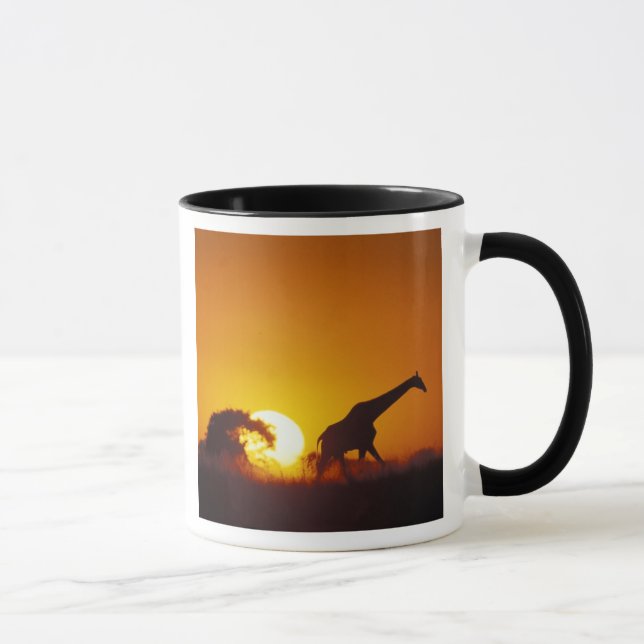 Mug Afrique, Botswana, Parc national de Chobe, Girafe  (Droite)