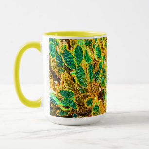 Mug Afrique Désert Cactus Plantes Prickly Pear