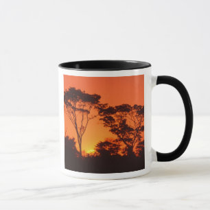Mug Afrique du Sud. Coucher de soleil africain.