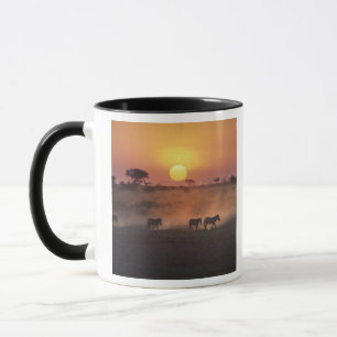 Mug Afrique, Kenya, Amboseli NP. Les zèbres marchent v