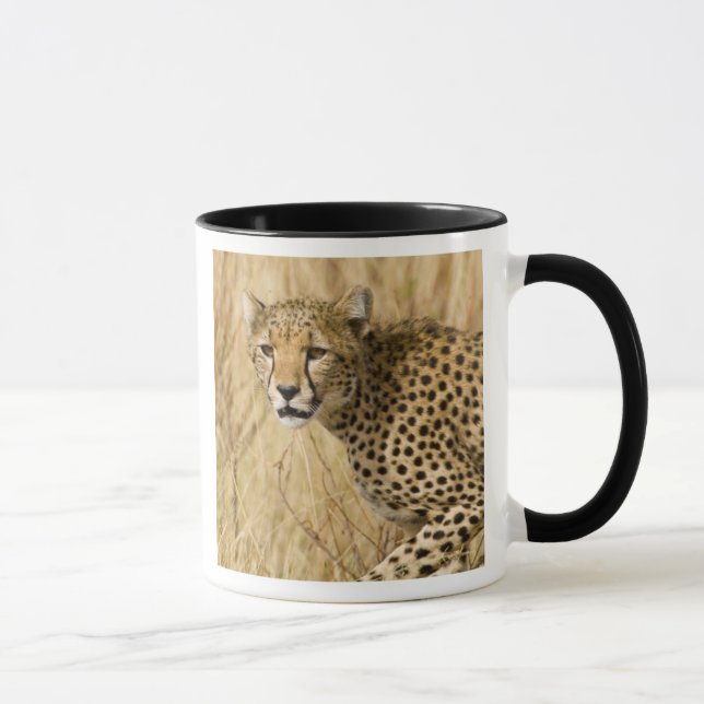 Mug Afrique. Kenya. Guépard au parc national de Sambur (Droite)