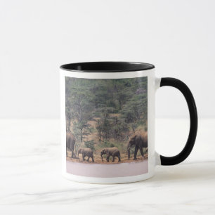 Mug Afrique, Kenya, Nanyuki, Mpala. Africains