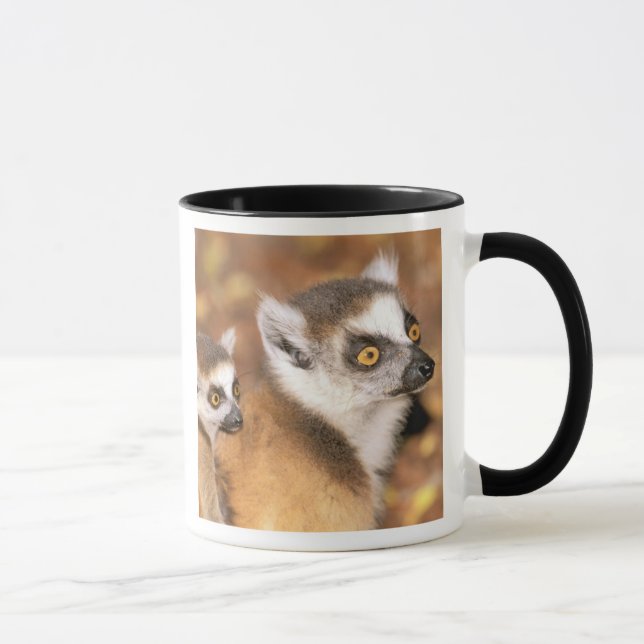 Mug Afrique, Madagascar, Berenty Private Reserve. (Droite)