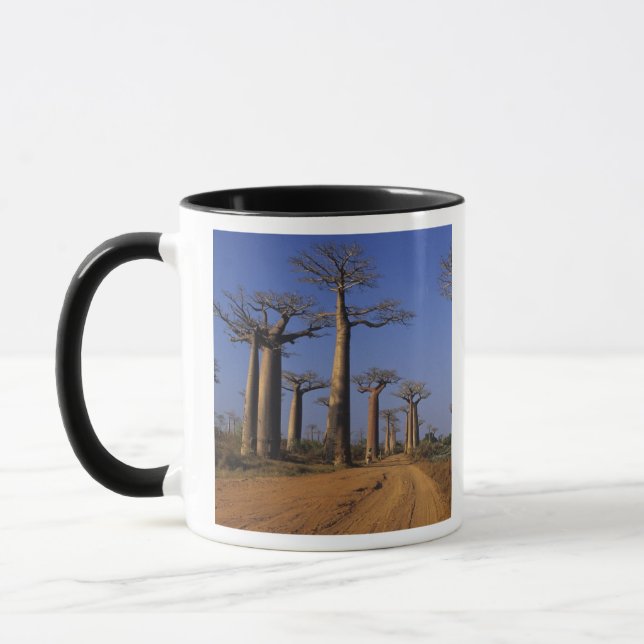 Mug Afrique, Madagascar, Morondava, avenue Baobab. (Gauche)