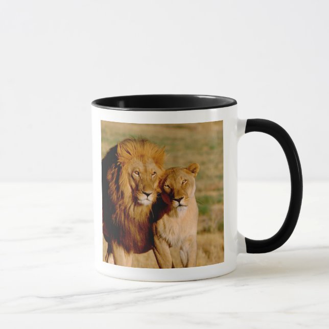 Mug Afrique, Namibie, Okonjima. Lion & Lion (Droite)