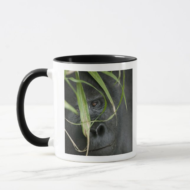 Mug Afrique, Ouganda, Bwindi (Gauche)