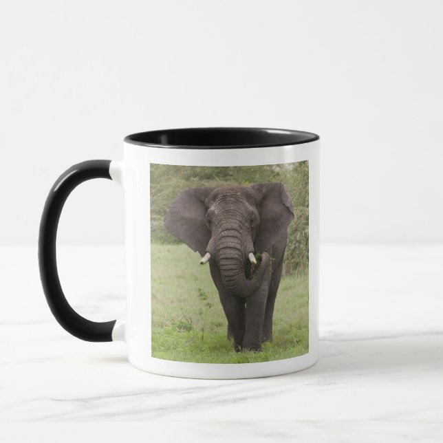 Mug Afrique Tanzanie Elephant au cratère de Ngorongoro (Gauche)