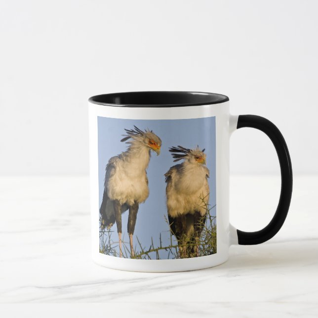 Mug Afrique. Tanzanie. Oiseaux secrétaires à Ndutu (Droite)