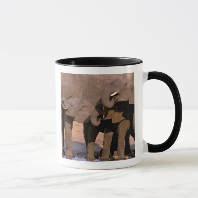 Mug Afrique, Tanzanie, Parc national de Tarangire. (Droite)
