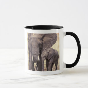 Mug Afrique, Tanzanie, Parc national de Tarangire. 2