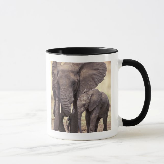 Mug Afrique, Tanzanie, Parc national de Tarangire. 2 (Droite)