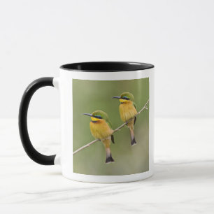 Mug Afrique. Tanzanie. Petits guêpiers à Manyara