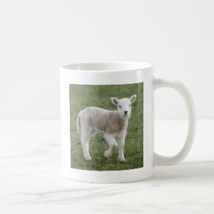MUG AGNEAU