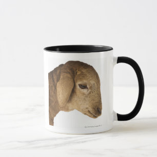 Mug Agneau domestique