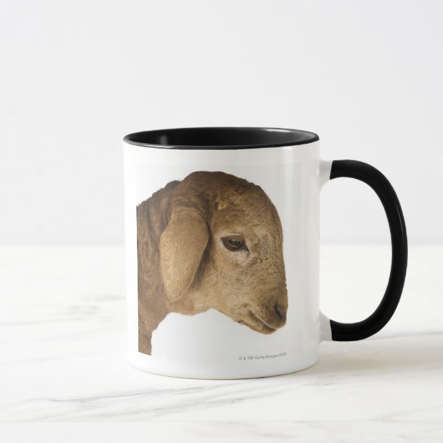 Mug Agneau domestique (Droite)