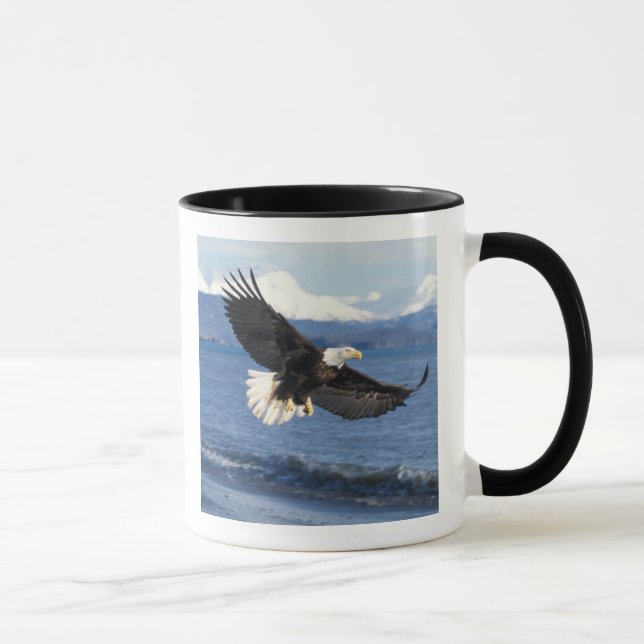 Mug aigle à tête blanche, Haliaeetus leuccocephalus en (Droite)