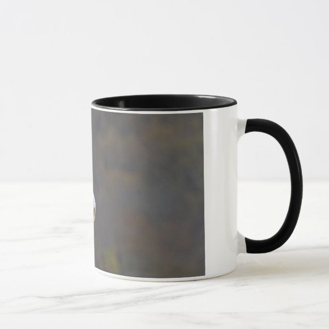 Mug Aigle chauve regardant un poisson (Droite)