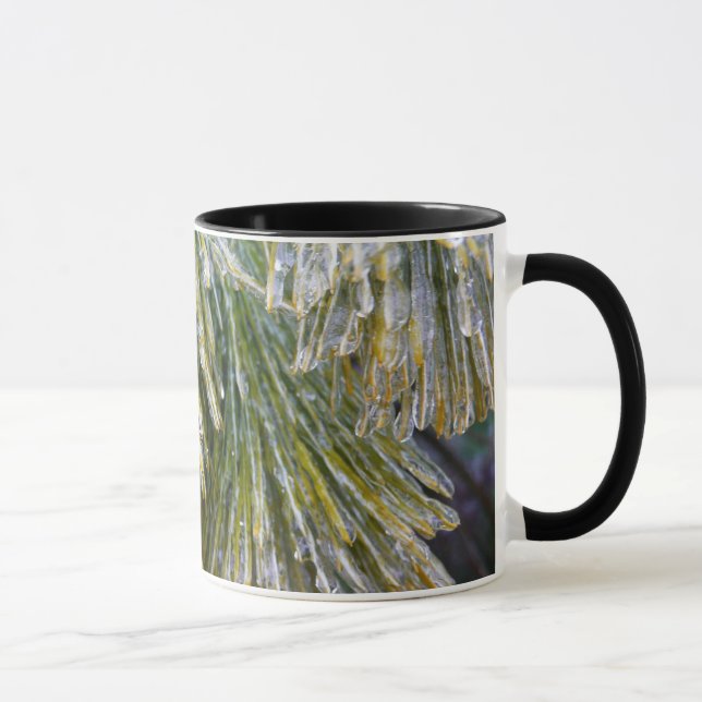 Mug Aiguilles de pin recouvert de glace Botanique hive (Droite)