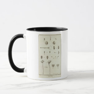 Mug Alaska 3
