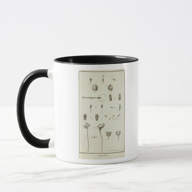 Mug Alaska 3 (Gauche)