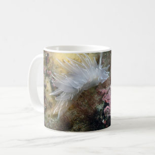 Mug Albâtre Nudibranche