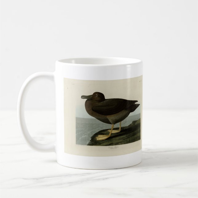 Mug Albatros usqués des oiseaux d'Amérique d'Audubon (Gauche)