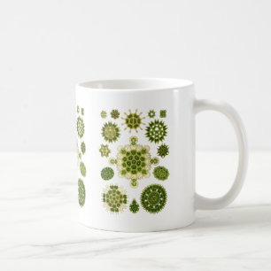 Mug Algues vertes