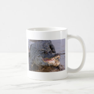 Mug Alligator