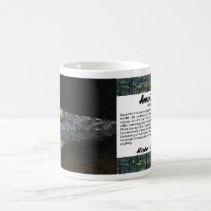 Mug Alligator américain