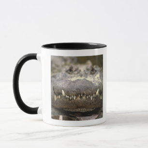 Mug Alligator américain
