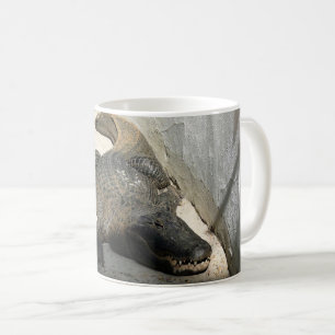 Mug Alligator, Fort Lauderdale, Floride