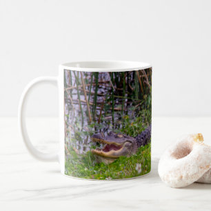 Mug Alligator Marais Milieux Humides Floride Photo