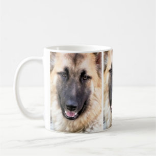 MUG ALMAN SHEPHERD