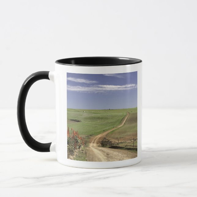 Mug Aloès fleurissant près de Caledon, le (Gauche)