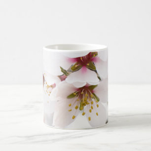 Mug Amande fleurie