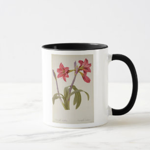 Mug Amaryllis Brasiliensis