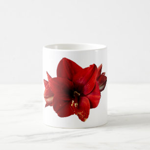 Mug Amaryllis, fleur rouge
