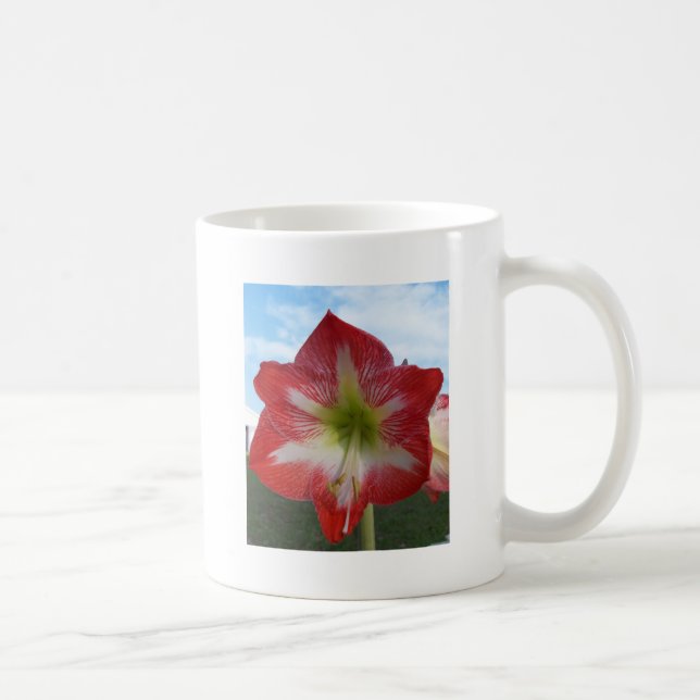 Mug Amaryllis rouge et blanc MegaStar (Droite)