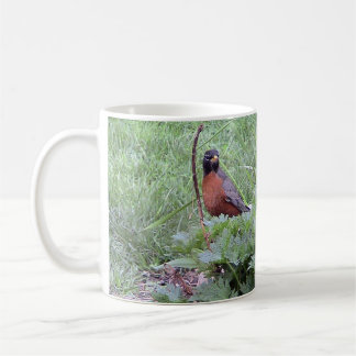 Mug américain Robin (mâle)