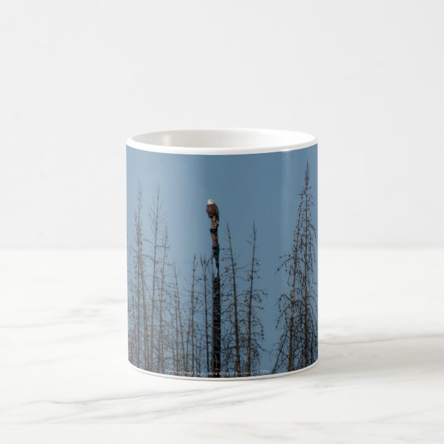 Mug American Bald Eagle 8974 (Centre)