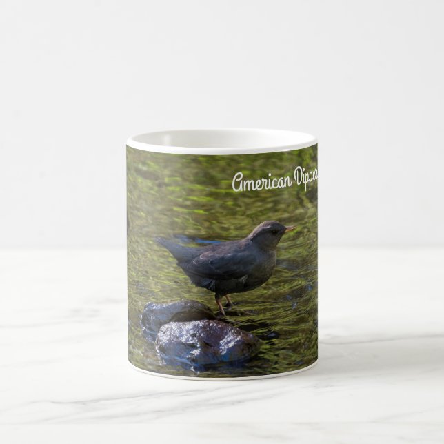 Mug American Dipper (Centre)