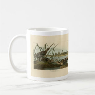 Mug American Snipe (Wilson) Audubon's Birds of America